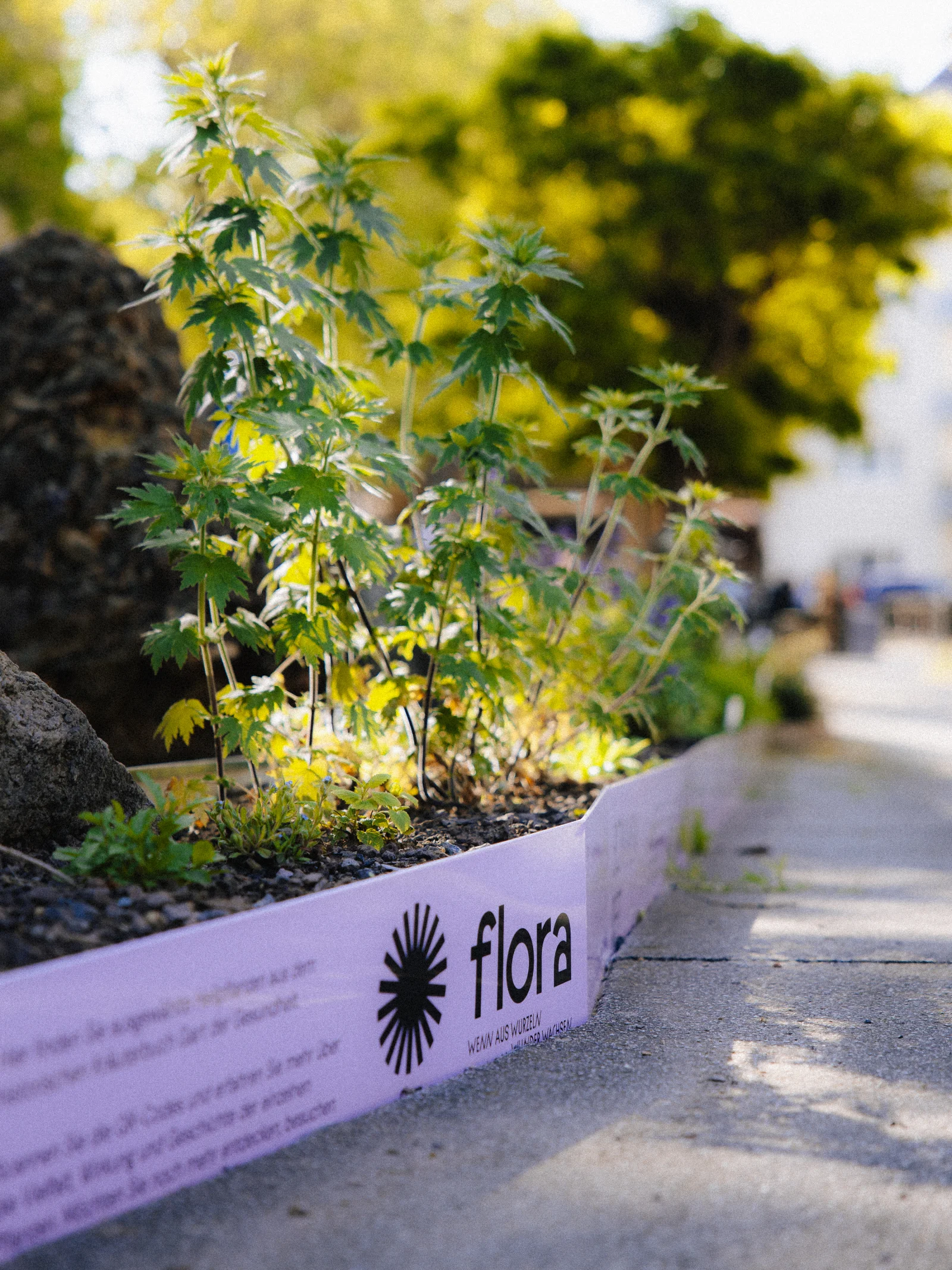 Ausstellung Flora
