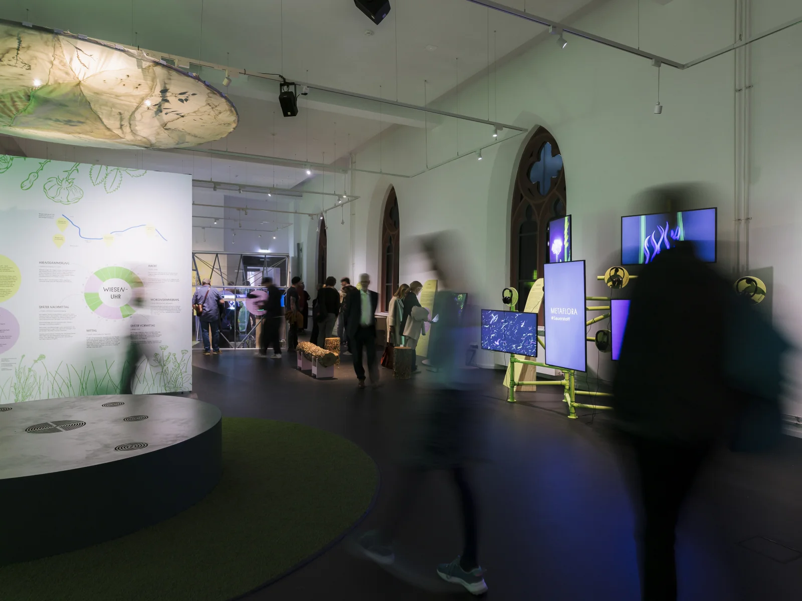 Ausstellung Flora