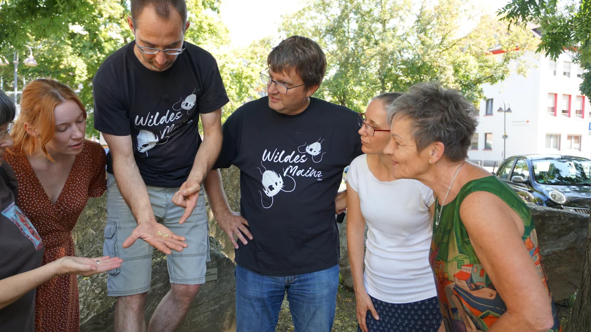 FLORA trifft Wildes Mainz im Juni